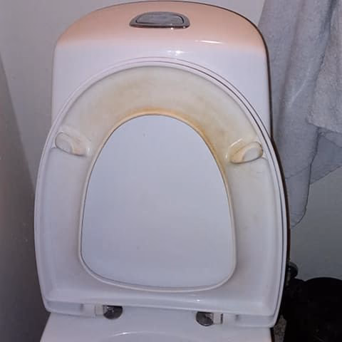 dirty toilet seat before synoshi cleaning