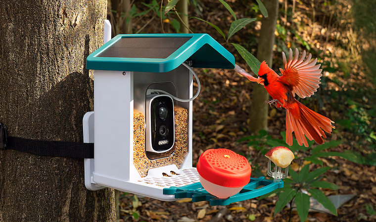 happy birdy smart bird feeder with live camera