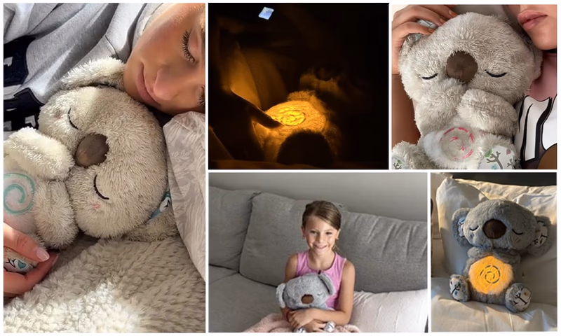 koala calm buddy plush toy with rhythmic breathing motion