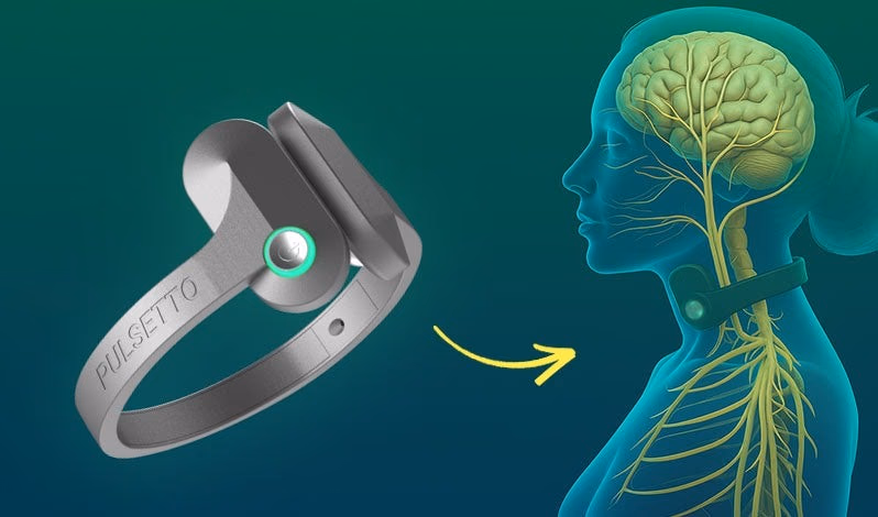 pulsetto device shown next to human nervous system