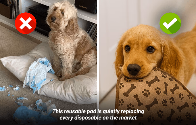 puppy chewing on reusable pad vs destroyed pillow